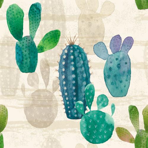 Raster image watercolor cacti colorful and monochrome on textured light