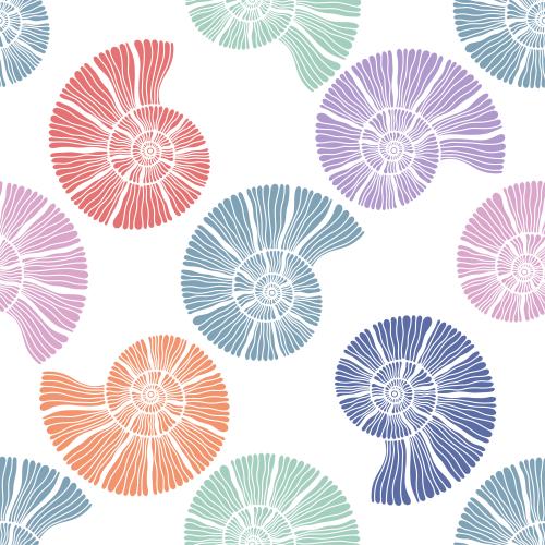 Illustration multicolored nautiluses on white