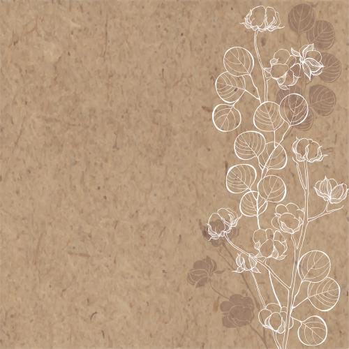 Eucalyptus. Vector eucalyptus branches and cotton, place for text on craft paper