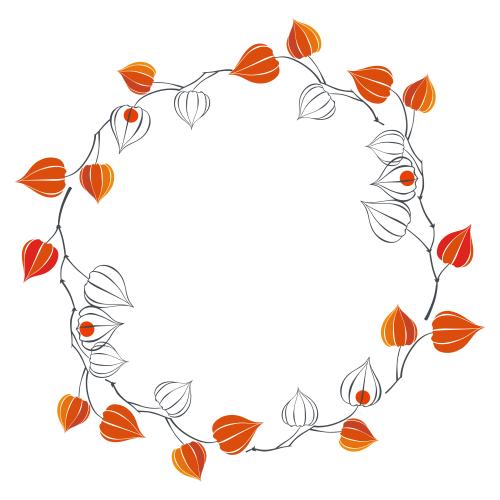 Vector image physalis round frame on white