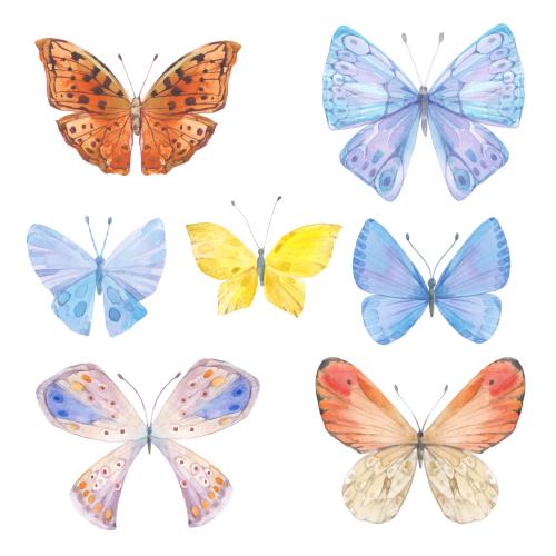 Raster image watercolor butterflies variations on white