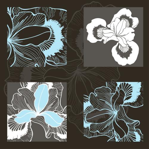Iris. Vector abstract flower composition in four part on black