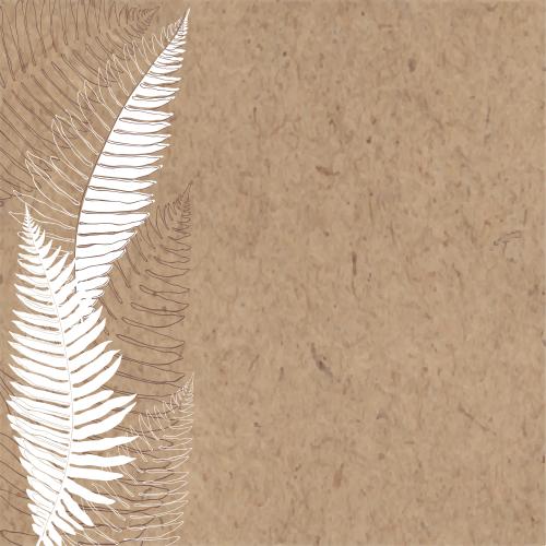Fern. Vector fern leaves and space for text on craft