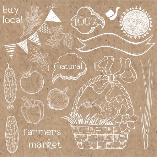 Basil. Vector farm vegetables and culinary herbs, vegetable basket, symbols and text on craft