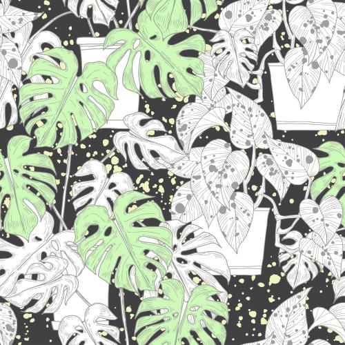 Blot. Vector indoor plants in pots, decorative spots on black