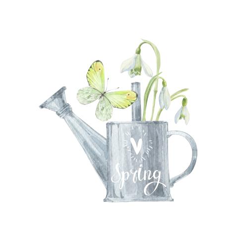 Raster image spring composition with a butterfly and a watercolor bouquet of snowdrops in a watering can with a heart and the word spring on white