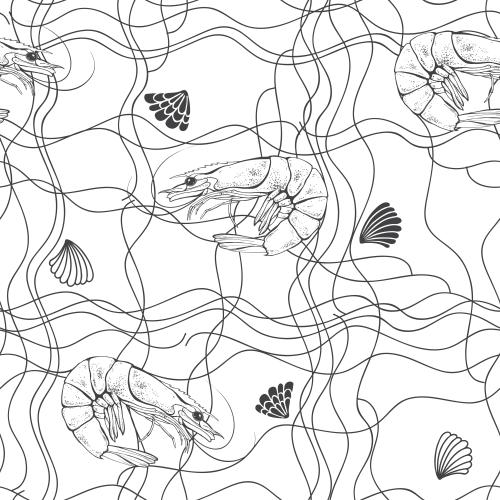 Shell. Vector shrimp shells smooth intersecting lines on white