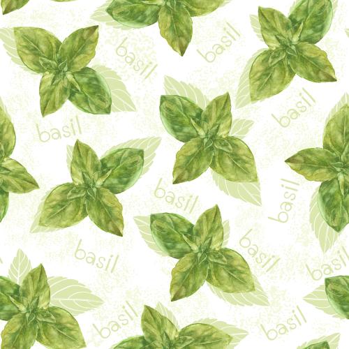 Raster image watercolor basil, basil inscription on a light textured