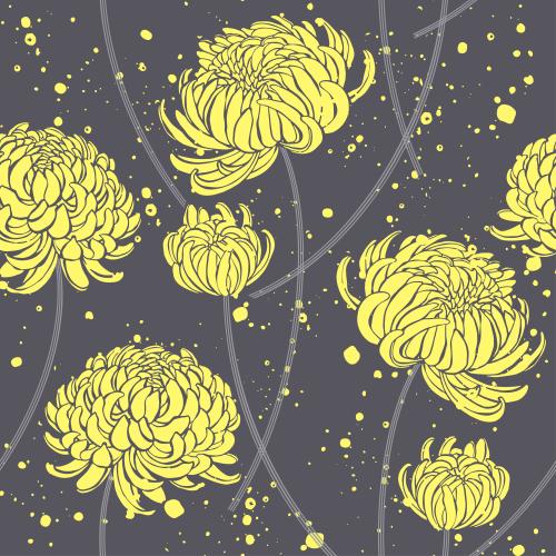 Chrysanthemum. Vector yellow chrysanthemums and decorative spots on dark