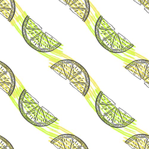 Vector image citrus fruit slices, colored lines on white