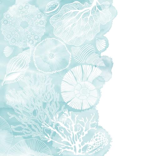 Vector image nautilus shells sea urchin underwater creatures corals seaweed watercolor fragment text area on white
