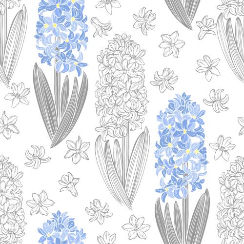 Hyacinth. Vector hyacinths, colorful and monochrome on white