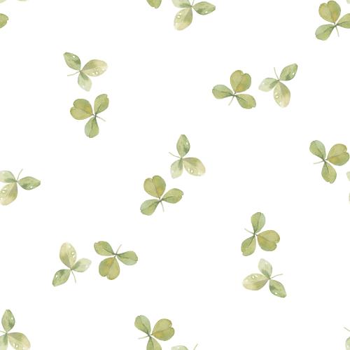 Illustration watercolor clover leaves on white