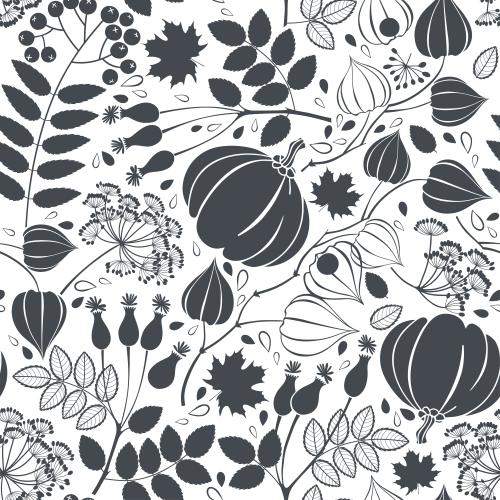 Dill. Vector pumpkins, autumn berries, flowers and plants, black silhouettes and outlines on white