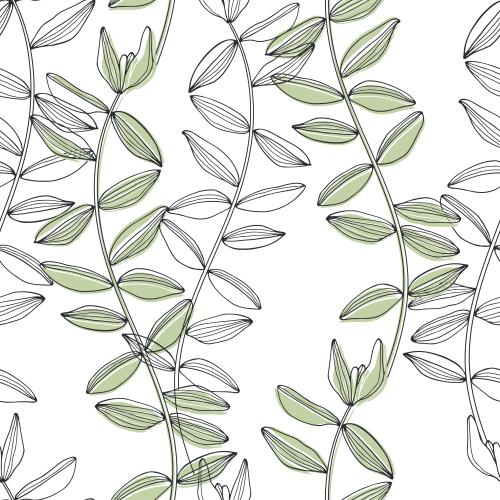 Illustration sea algae on white
