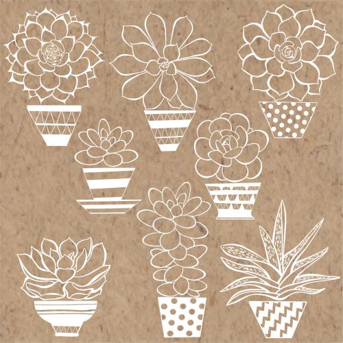Vector image succulents in pots, white outlines on craft