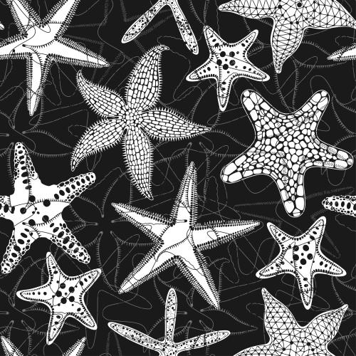 Illustration sea stars gray outlines and white silhouettes on black