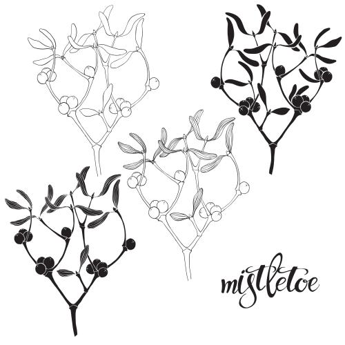 Mistletoe. Vector mistletoe branches, variations on white