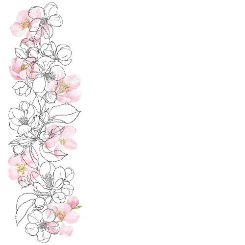Apple tree. Vector watercolor flowers and apple tree leaves contours space for text on white