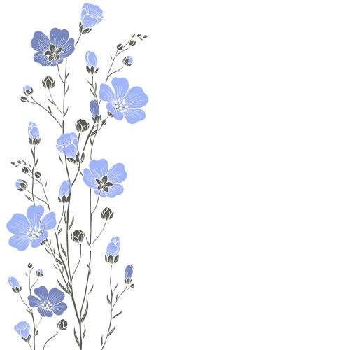 Flax. Vector flax flowers, space for text on white
