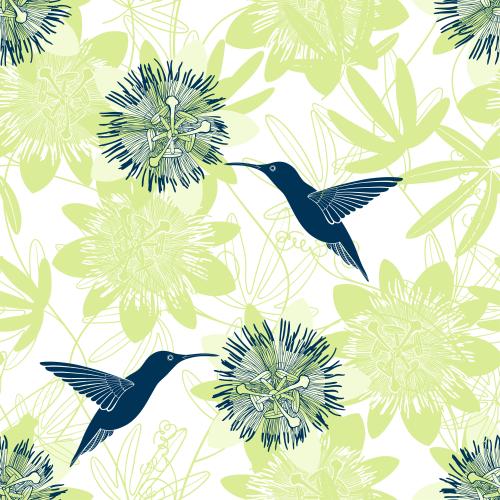 Passionflower. Vector hummingbird passionflower flowers and leaves on white