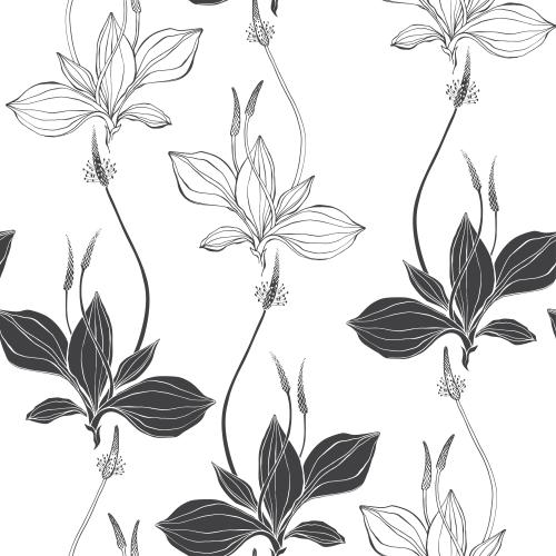 Plantain. Vector plantain, black contours and silhouettes on white