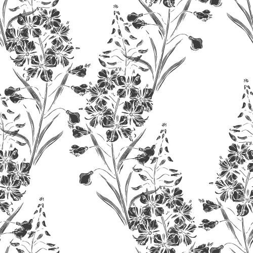Fireweed. Vector lady's mantle, ivan's tea, black silhouettes on white