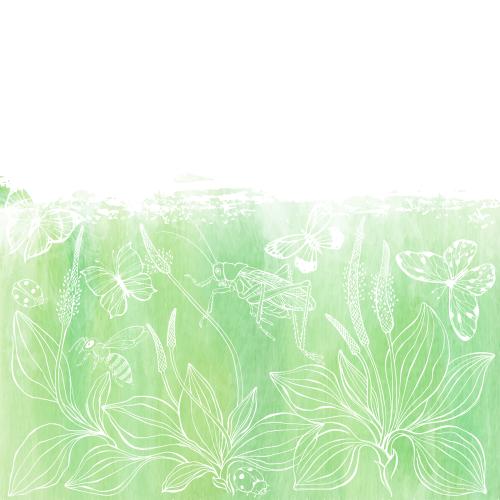 Grasshopper. Vector plantain, butterflies, grasshopper, ladybug, bee on a green watercolor fragment, space for text on white