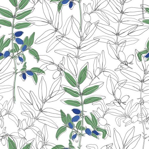 Honeysuckle. Vector honeysuckle on white