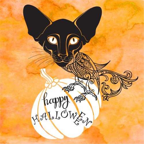 Cat. Vector fantasy animal with cat head and bird body sitting on pumpkin with happy halloween inscription on orange watercolor