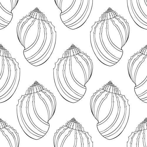 Illustration black outlines on white shells