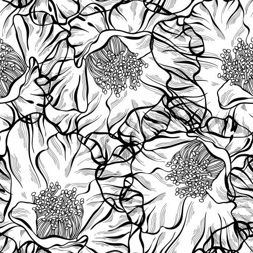 Poppy. Vector contour monochrome flowers with stamens on white