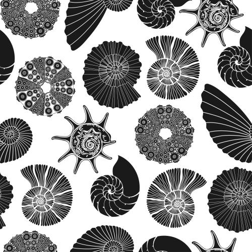 Illustration nautiluses, sea urchins, black silhouettes on white
