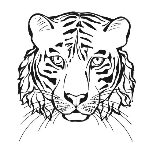 Tiger. Vector tiger head on white