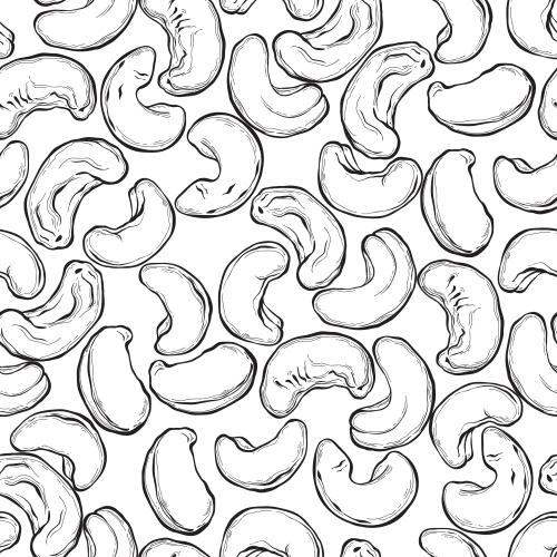 Nut. Vector cashew on white