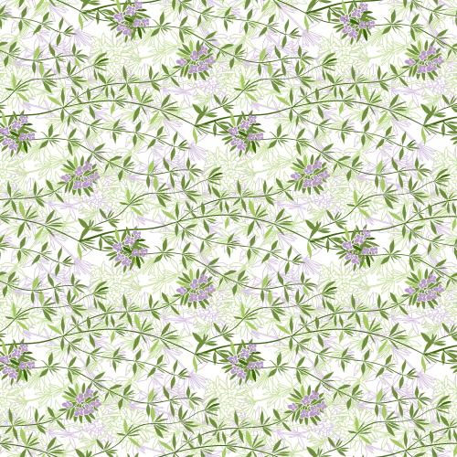 Vector image thyme on white