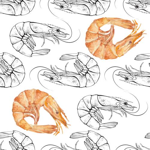 Raster image watercolor and contour shrimp on white