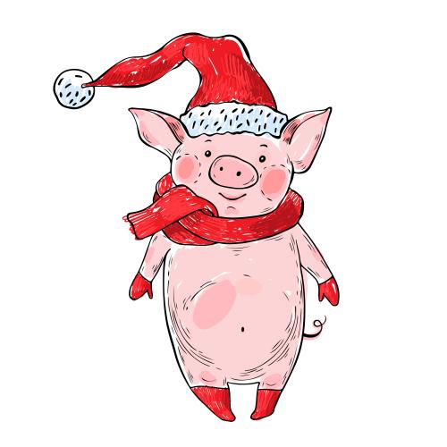 Pig. Vector cartoon pig in a new year's hat, scarf, gloves, and socks on white