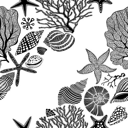 Vector image sea stars, shells, nautilus, corals, seaweed on white