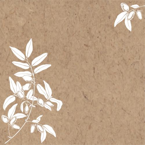 Honeysuckle. Vector jessamine white silhouettes of branches with berries text area on craft angular composition