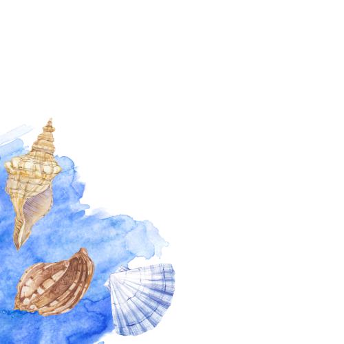 Raster image watercolor shells, blue watercolor fragment, space for text on white