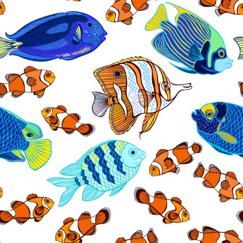 Illustration exotic cartoon fish on white