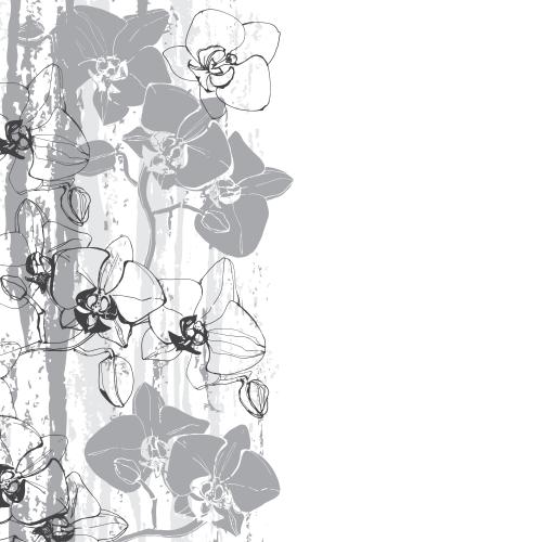 Stripe. Vector orchids monochrome textured stripes space for text on white