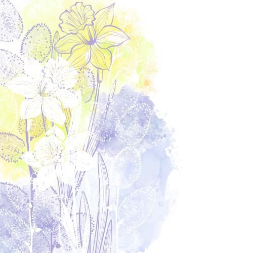 Daffodil. Vector daffodils willow branches on watercolor space for text on white