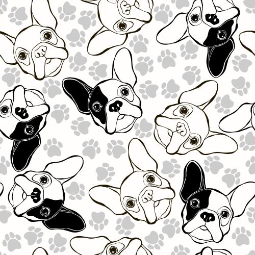 Dog. Vector heads of french bulldog paw prints on white