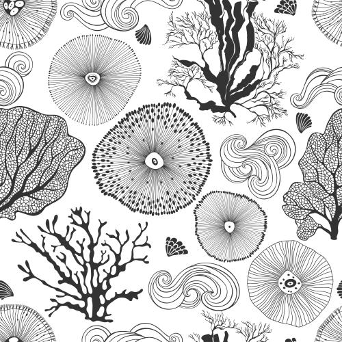 Shell. Vector Pattern abstract marine creatures corals shells and waves on white