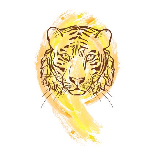 Tiger. Vector tiger watercolor fragment on white