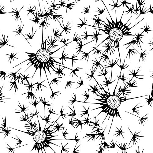 Dandelion. Vector dandelions with dispersing seeds on white