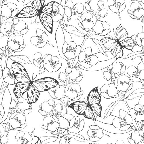 Butterfly. Vector jasmine and butterflies on white