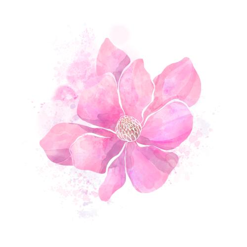 Blot. Vector magnolia flower, decorative watercolor splashes on white